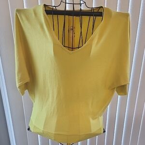 Premise Sunny Yellow V-Neck Blouse